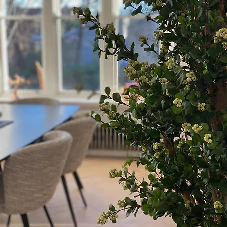 Apart-hotel Your Base Upper Leeson Street *